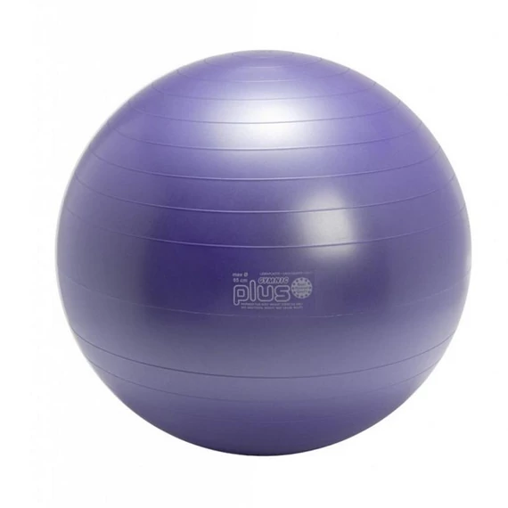 Gimnasztikai labda 65 cm lila