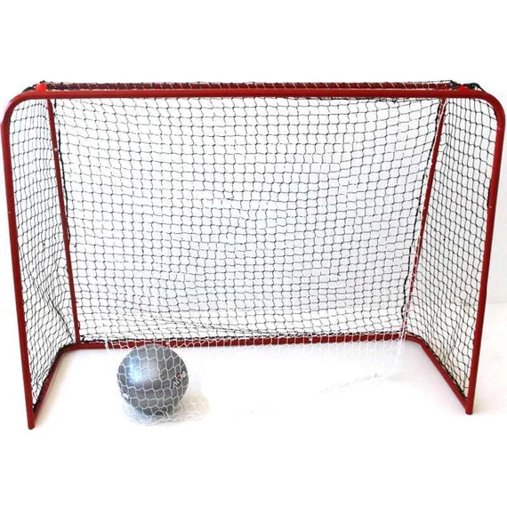 Floorball kapu 160x115x65 cm Bandit