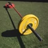 Kép 3/3 - T-rúd Landmine Sveltus