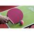 Kép 4/5 - Pingpongütő Joola Colorato kék-rózsaszín