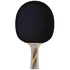 Kép 2/2 - Ping-pong ütő Donic Legends 300 FSC