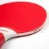 Kép 4/4 - Ping-pong ütő Sponeta 4Seasons