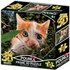 Kép 1/2 - 3D puzzle Prime 3D Cica 63 darabos
