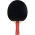 Kép 4/6 - Pingpongütő Joola Team Junior