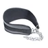 Kép 1/4 - Súlyemelő öv lánccal inSPORTline Chainbelt
