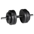 Kép 2/5 - Egykezes súlyzó szett inSPORTline CEM 2x12,5 KG